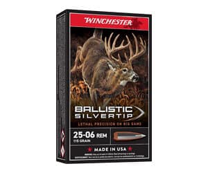 WIN BLSTC TIP 2506RM 115GR 20/200