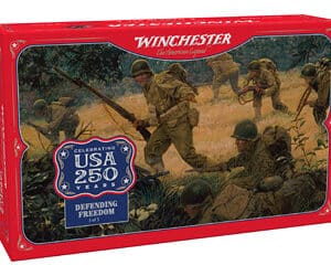 WIN USA 250TH 45ACP 230GR FMJ 50/300