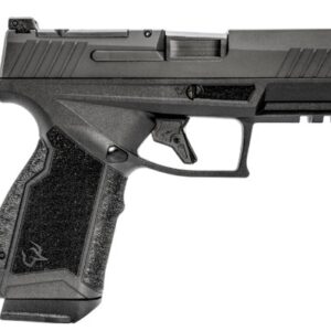 GX4 Carry 380 ACP 3.7" Blk (2) 15-rd
