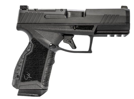 GX4 Carry 380 ACP 3.7" Blk (2) 15-rd