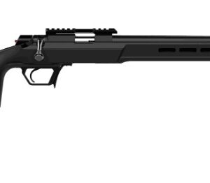Asend .22LR 16" Black 10-rd