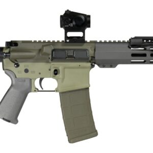 Shark Coast Tactical SCC06872BUGBR300P Bug Bear Bundle 300 Blackout 30+1 10" Threaded Barrel, Aluminum Receiver w/Picatinny Rail, M-LOK Handguard, Polymer SB Tactical SBA3 Brace, Streamlight ProTac Ra