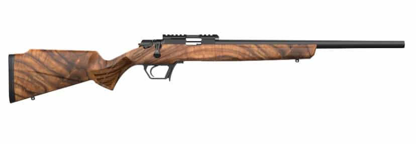 Asend .22LR 16" Blk/Walnut 10-rd