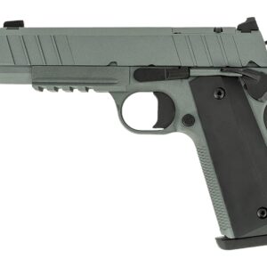 Tisas Arms 10100134 1911 Night Stalker Carry 10mm Auto 8+1 4.25" Black Bull Barrel, Gray Cerakote Carbon Steel Serrated Slide, Gray Cerakote Carbon Steel Frame w/Beavertail & Picatinny Rail, Black Rub