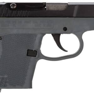 Kel-Tec P32BGRY P-32 32 ACP Caliber with 2.68" Barrel, 7+1 Capacity, Gray Finish Aluminum Frame, Serrated Blued Steel Slide & Gray Polymer Grip