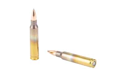 FED AM EAGLE 556NATO 55GR FMJ 20/500 - Image 4