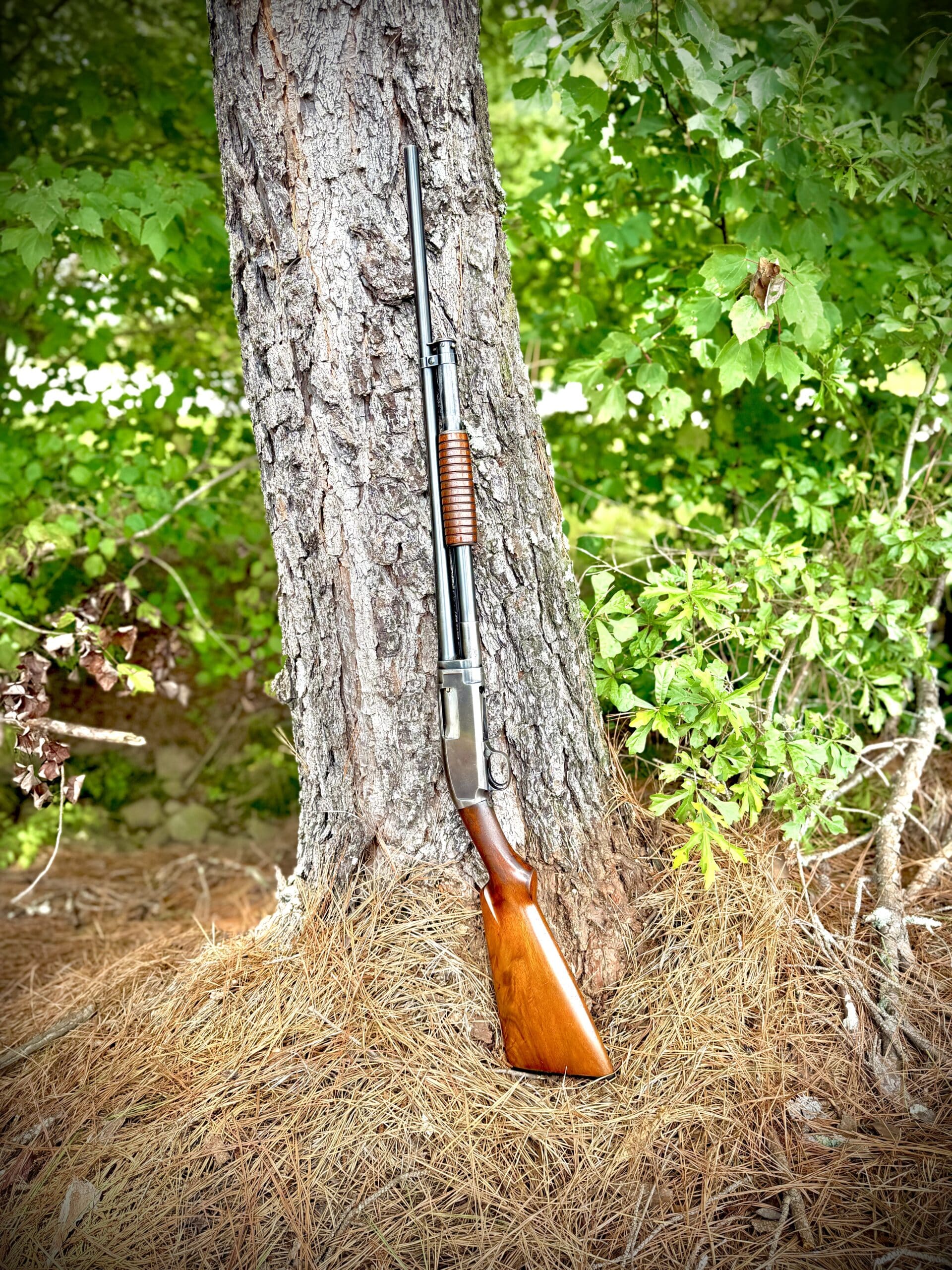 113 YEAR OLD WINCHESTER MODEL 1912 20 GAUGE
