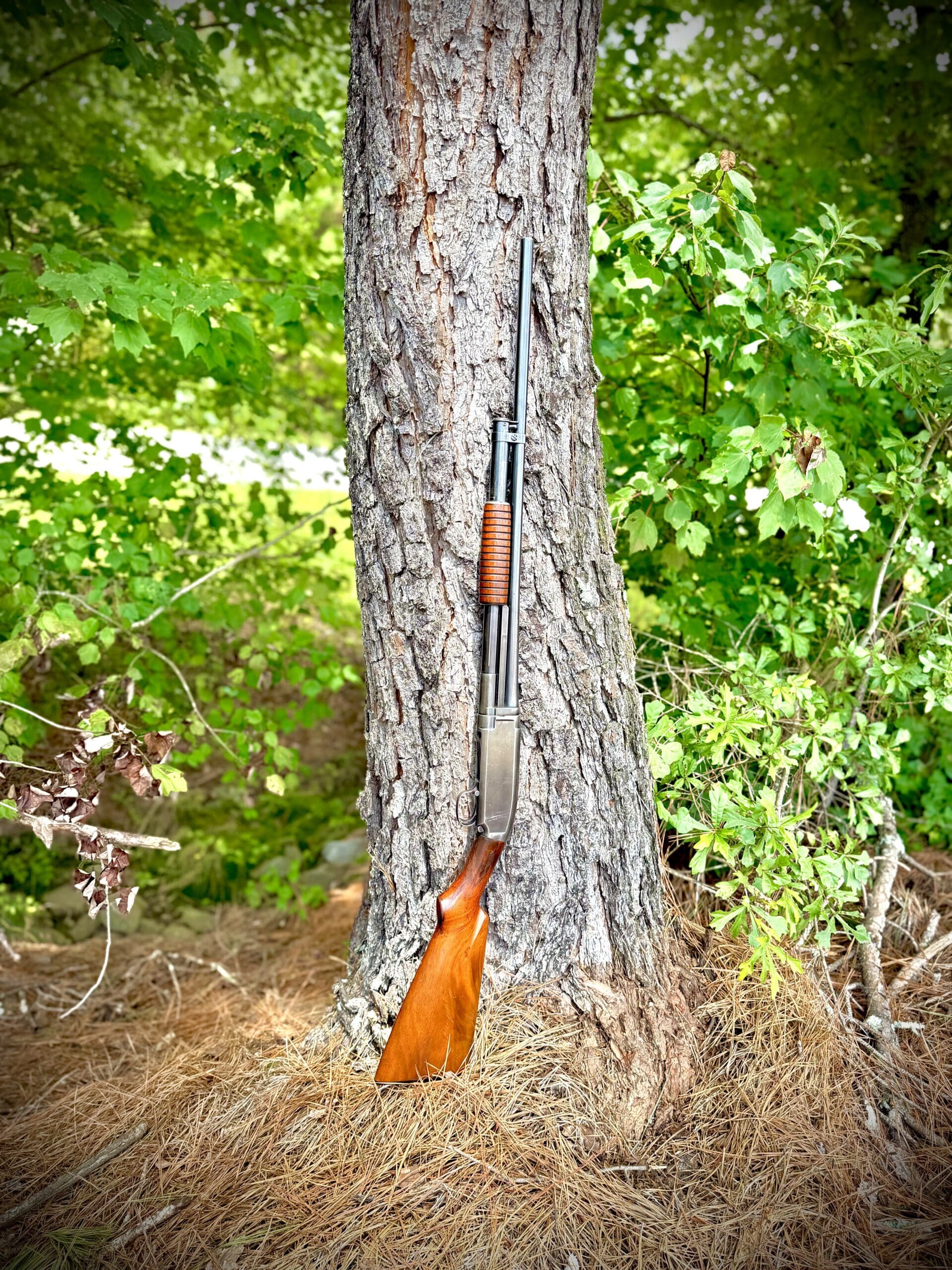 113 YEAR OLD WINCHESTER MODEL 1912 20 GAUGE - Image 2