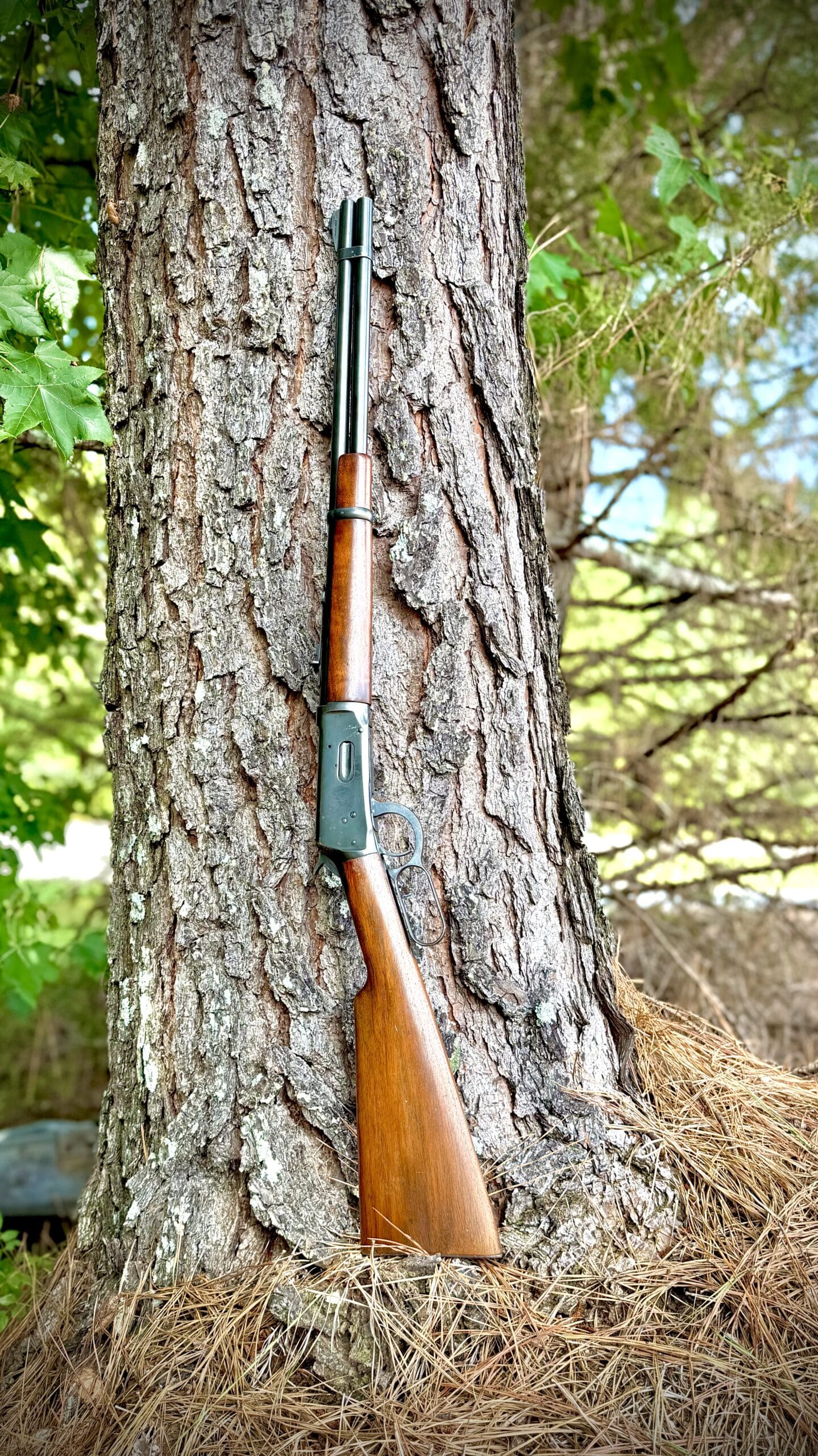 1948 WINCHESTER 32 WIN SPL - Image 2