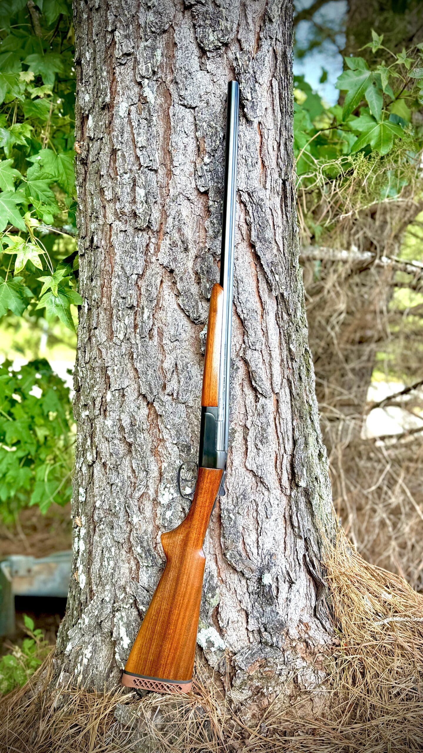 1942 MODEL 24 WINCHESTER 16 GAUGE - Image 2