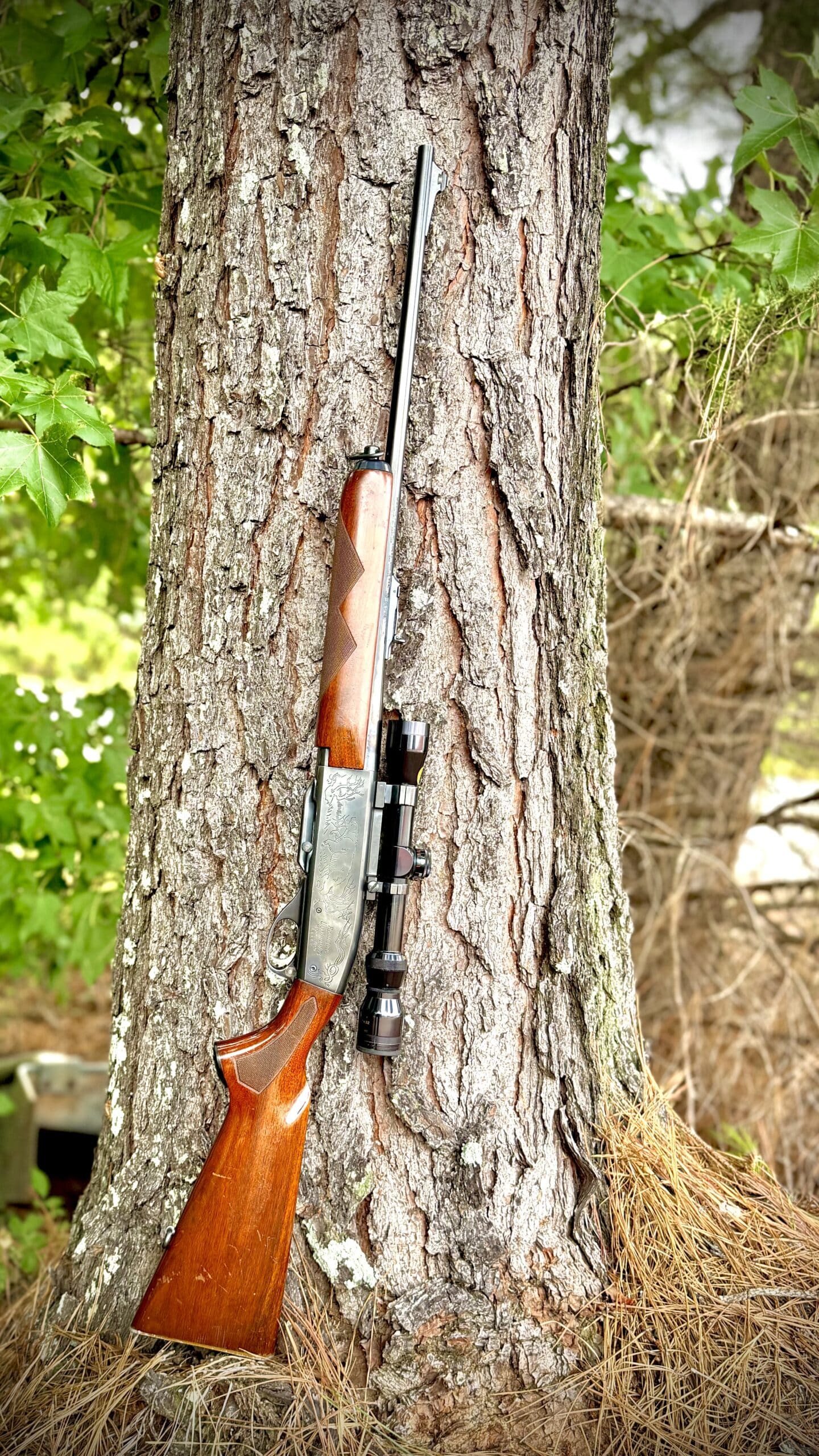1961 ADL DELUXE ENGRAVED 742 WOODSMASTER REMINGTON 30-06 - Image 2
