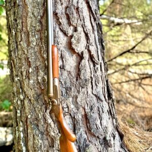 BELGIUM A. GREENER SXS SHOTGUN LATE 1890S
