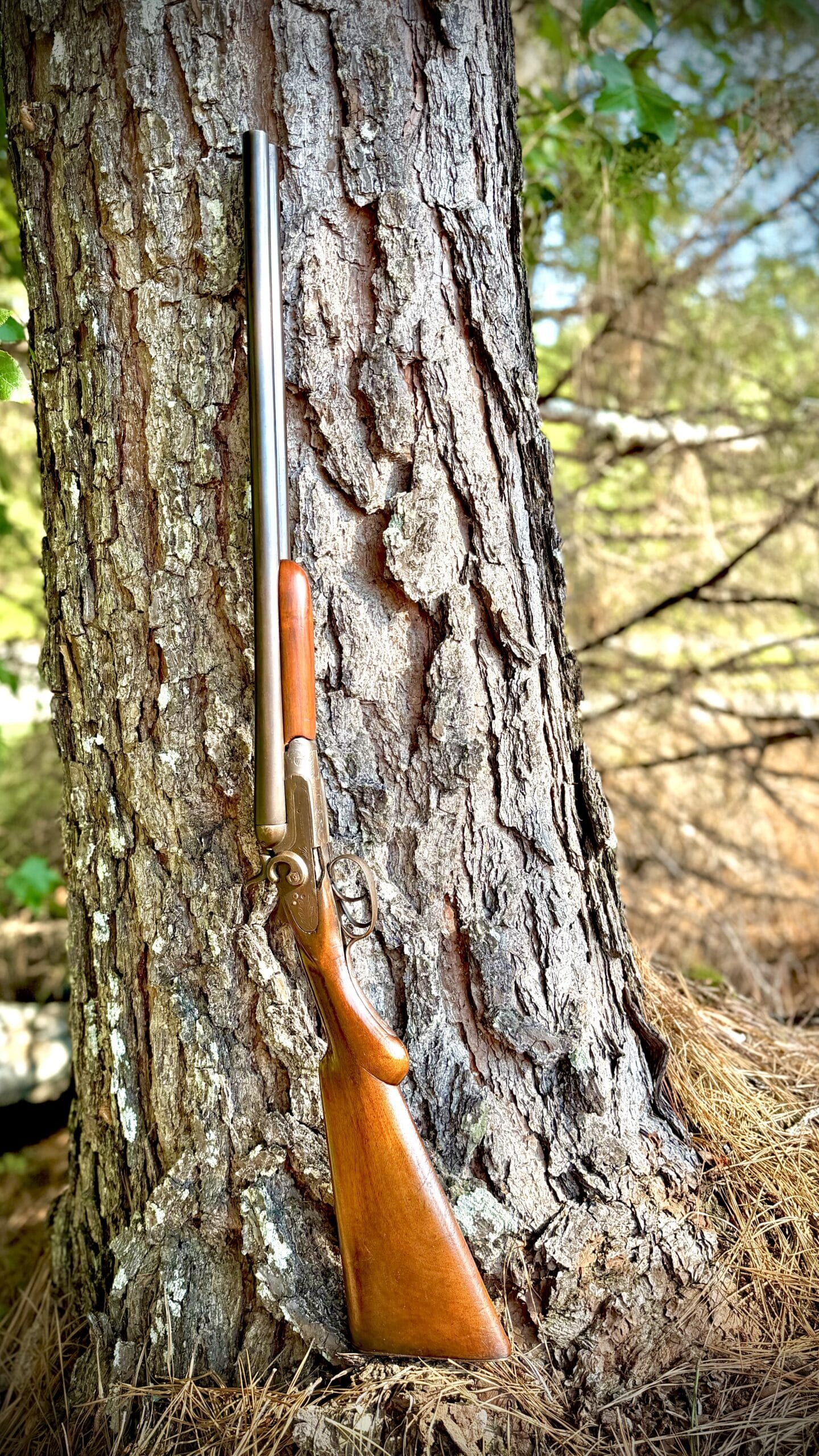 BELGIUM A. GREENER SXS SHOTGUN LATE 1890S