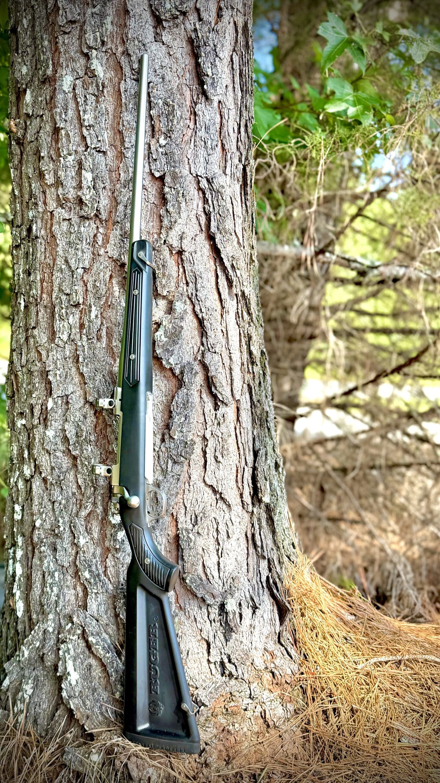 1996 RUGER BOAT PADDLE 270 WIN