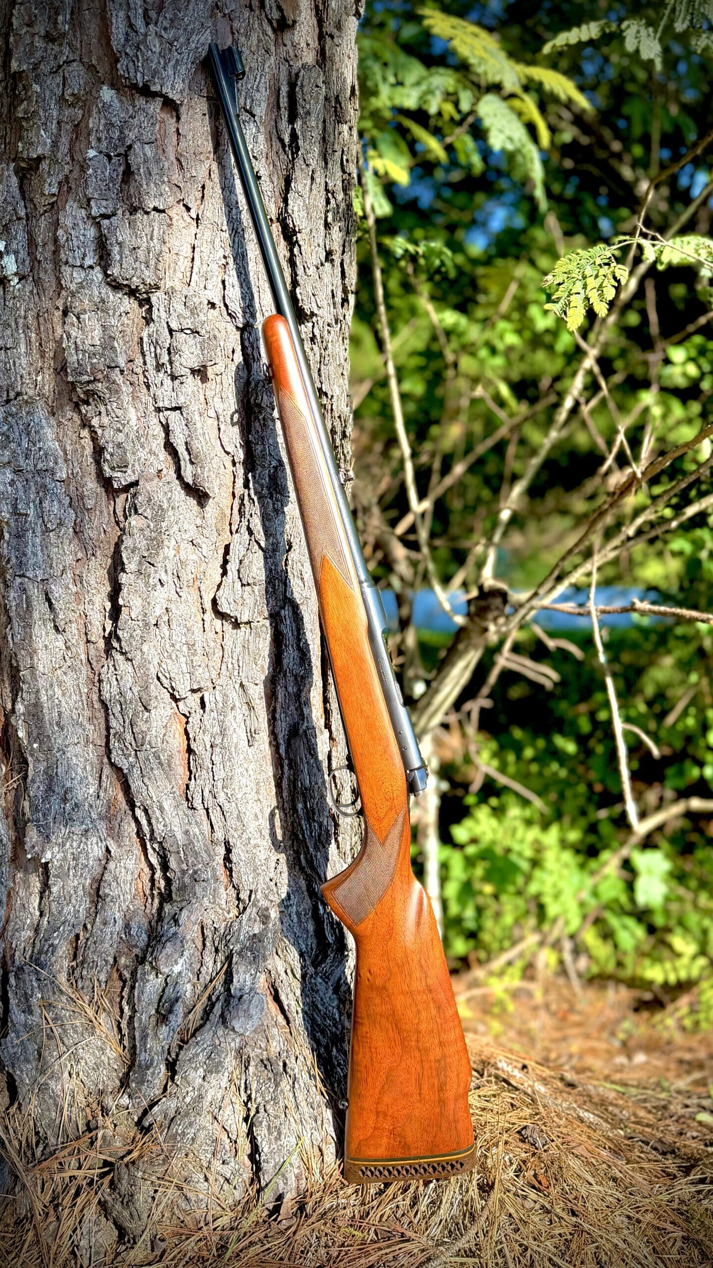 1956 WINCHESTER MODEL 70 FEATHERWEIGHT 30-06 - Image 2