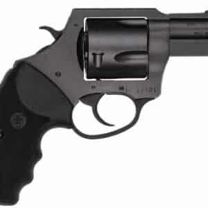 CHARTER ARMS CHARTER PITBULL 45ACP NIT 2.5"