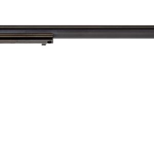 HERITAGE MANUFACTURING RR 22LR BLUE 16" 6RD FS